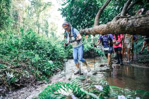 BIB: 
                            <button type="button" onclick="openModal(25465079)" class="btn btn-primary btn-sm float-right btn-popup" data-toggle="modal" data-target=".modal-high-quality">
                        <i class="fas fa-shopping-cart"></i> Add to Cart
                    </button>
                                            <button type="button" onclick="isThisMe(25465079, true)" class="btn btn-success btn-sm float-right btn-popup btn-isme hidden" data-toggle="tooltip" data-placement="bottom" title="นี่คือรูปของคุณใช่ไหม คลิกที่นี่เพื่อเอาเข้าอัลบั้ม">
                        <i class="fas fa-plus"></i> Add to album
                    </button>
                    <button type="button" onclick="isThisMe(25465079, false)" class="btn btn-warning btn-sm float-right btn-popup btn-isnotme hidden">
                        <i class="fas fa-ban"></i> Remove from album
                    </button>